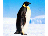 Captcha image 2473