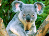 Captcha image 9353