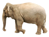 Captcha image 1900